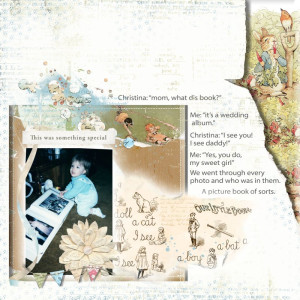The Wedding Album Picture Book Story