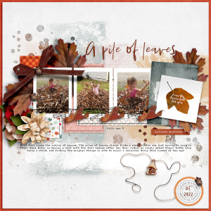 A Pile of Leaves