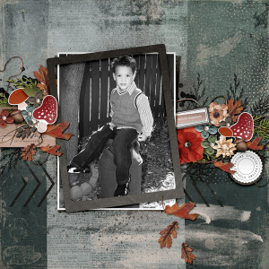 Autumn Snapshots