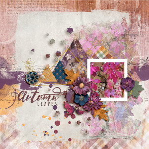 SOSN_sept6_AWA_LG_Autumn Leaves