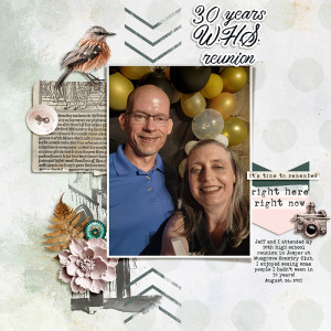 30 year W.H.S. reunion