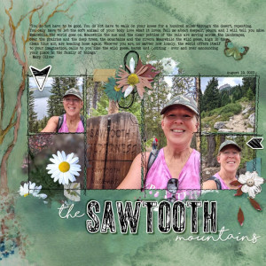 The-sawtooth-mountains