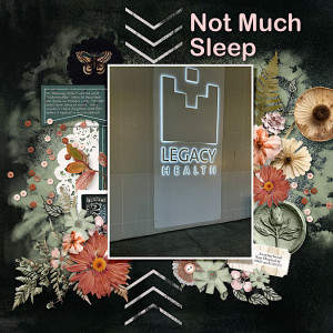 Not Much Sleep