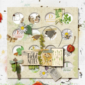 Field Notes