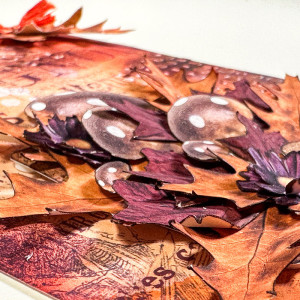 Fall Foliage (close up)