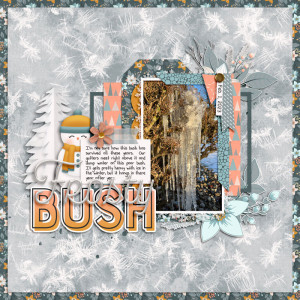 Frosty Bush