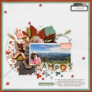 Campos