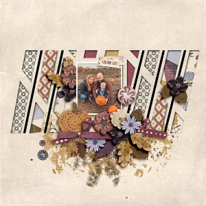SOSN_sept13_AWA_JJD_Autumn Days