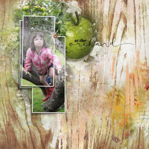 Apple Tree