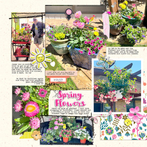 Spring Flowers