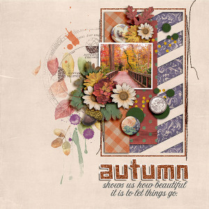 SOSN_sept20_AWA_JJD_Autumn