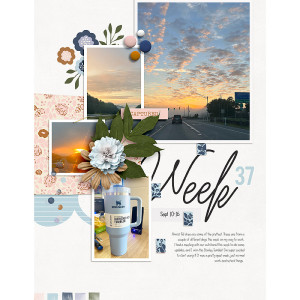 Week-37L