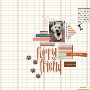 Furry Friend