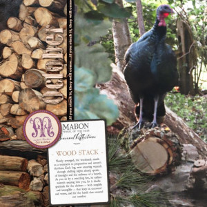 Seasonal-Reflections_Mabon