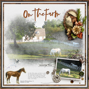 On the Farm