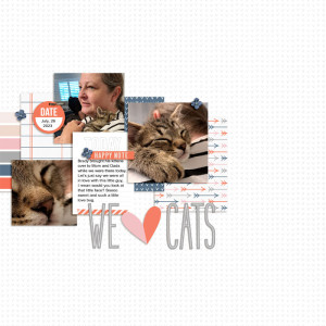 We (HEART) Cats