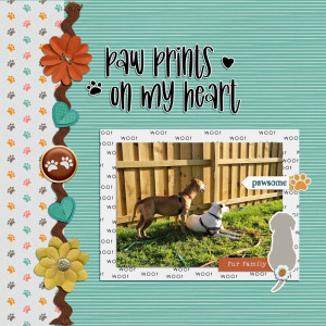 Paw Prints