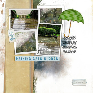 2023-9-29-rain_600web