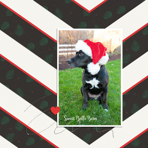 Santa Bella