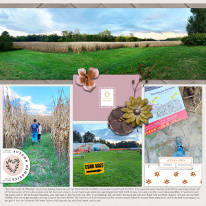 Corn maze 2021