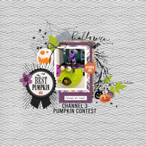 Pumpkin Contest