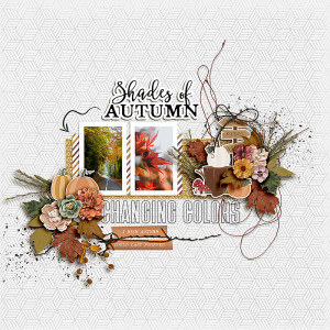 SS_oct7_Soco_AD_Shades Of Autumn