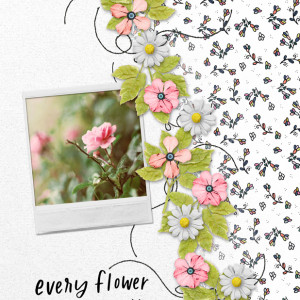 Bloom & Grow