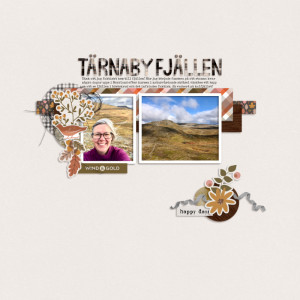 Tärnabyfjällen