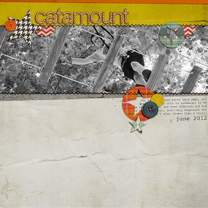 catamount