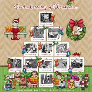 On the First Day of Christmas
