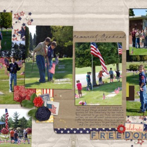 celebrate freedom