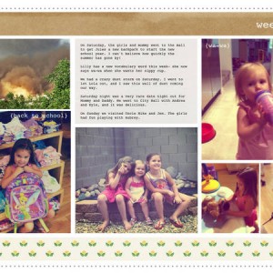 Project Life | Week 29 Right