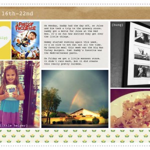 Project Life | Week 29 Left