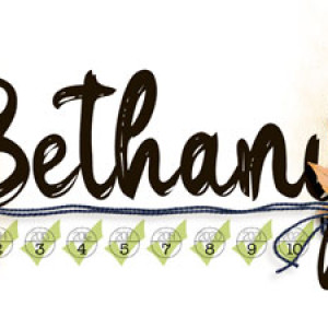 DSD2023_SiggyChallenge_Bethany-f2023