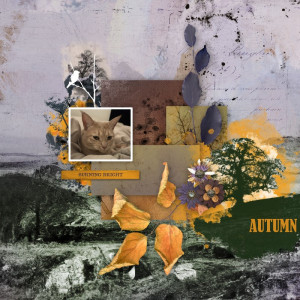 Autumn