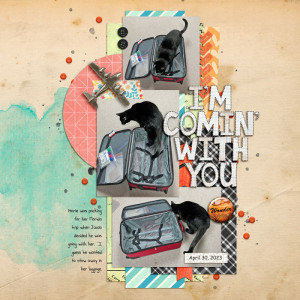 I'm Comin' With You