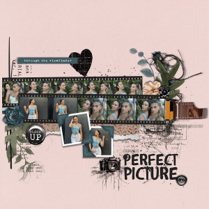 PICTURE PERFECT