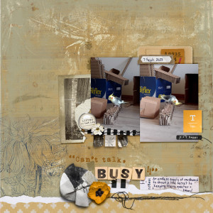 DSD-Speed-me- busy equals quiet & happy