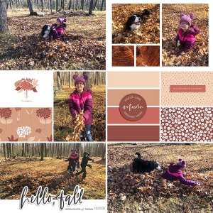 Fall Fun