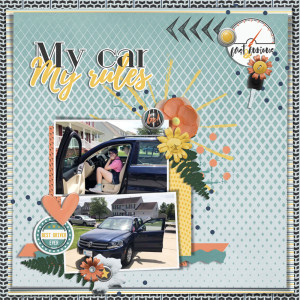my car my rules