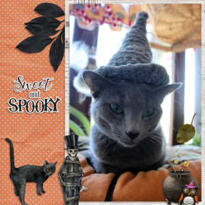 211031_cat Spooky