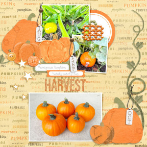 Harvest