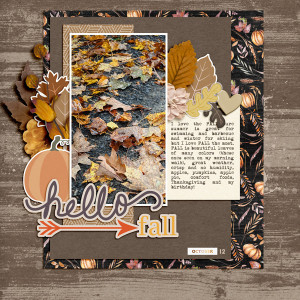 2023-10-12-fall-leaves_600web