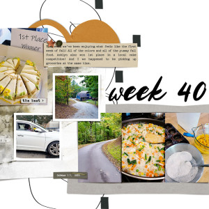 Week 40 {left}