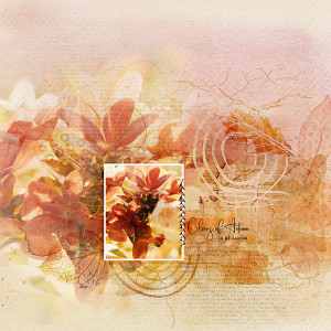 COLOURS OF AUTUMN