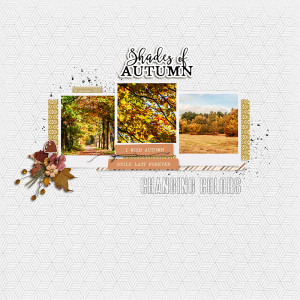 23-10_Shades of Autumn