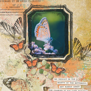 Butterflies