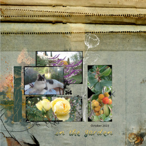 Oct. 2023 in the  garden