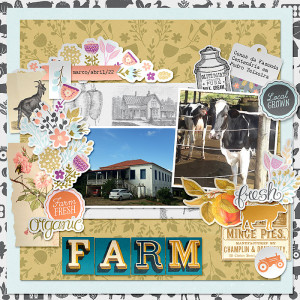Farm