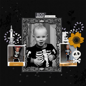 HB2023Dark